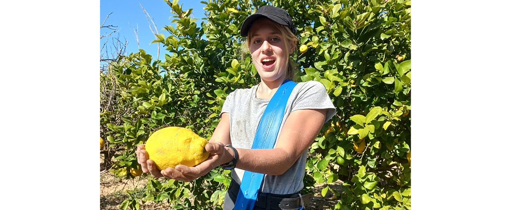 2024_Israel_working_Harvesting_pic06b